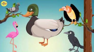 Թռչունների համար - մուլտֆիլմ