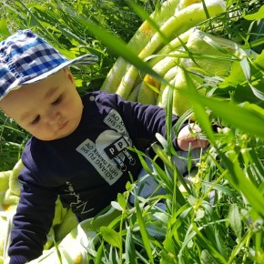 Վլադ Սարգսյան