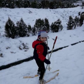 Գրիգորյան Ալեն