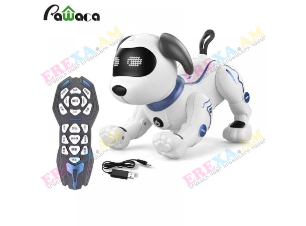 Ռոբոտ շնիկ հեռակառավարման վահանակով Ռոբոտ շնիկ հեռակառավարման վահանակով