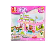 Սլուբան Ռոզ մեչտա 289 կտոր բիլիարդանոց